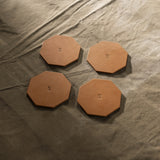 FGL008 Cabin Coaster