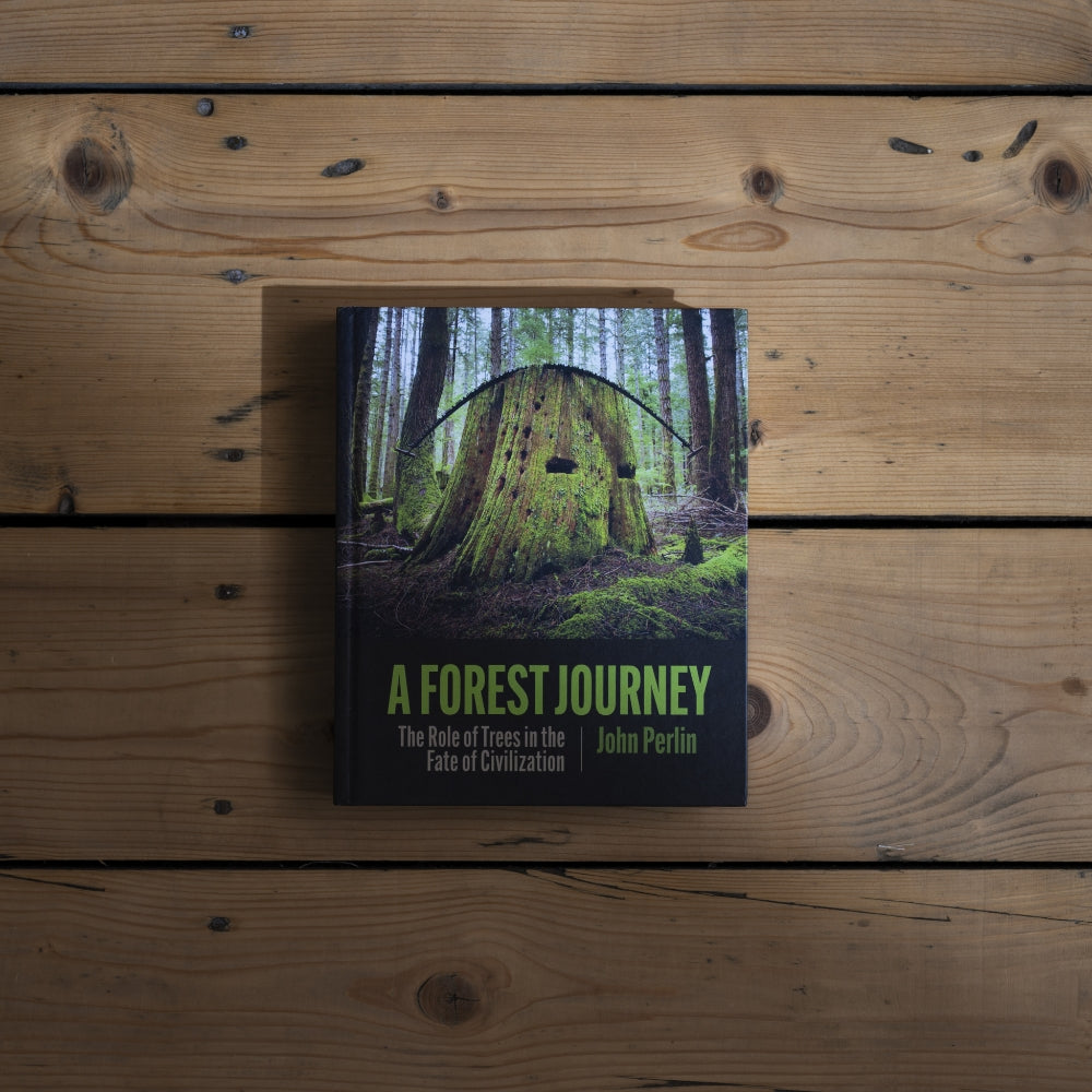 Book Club: A Forest Journey