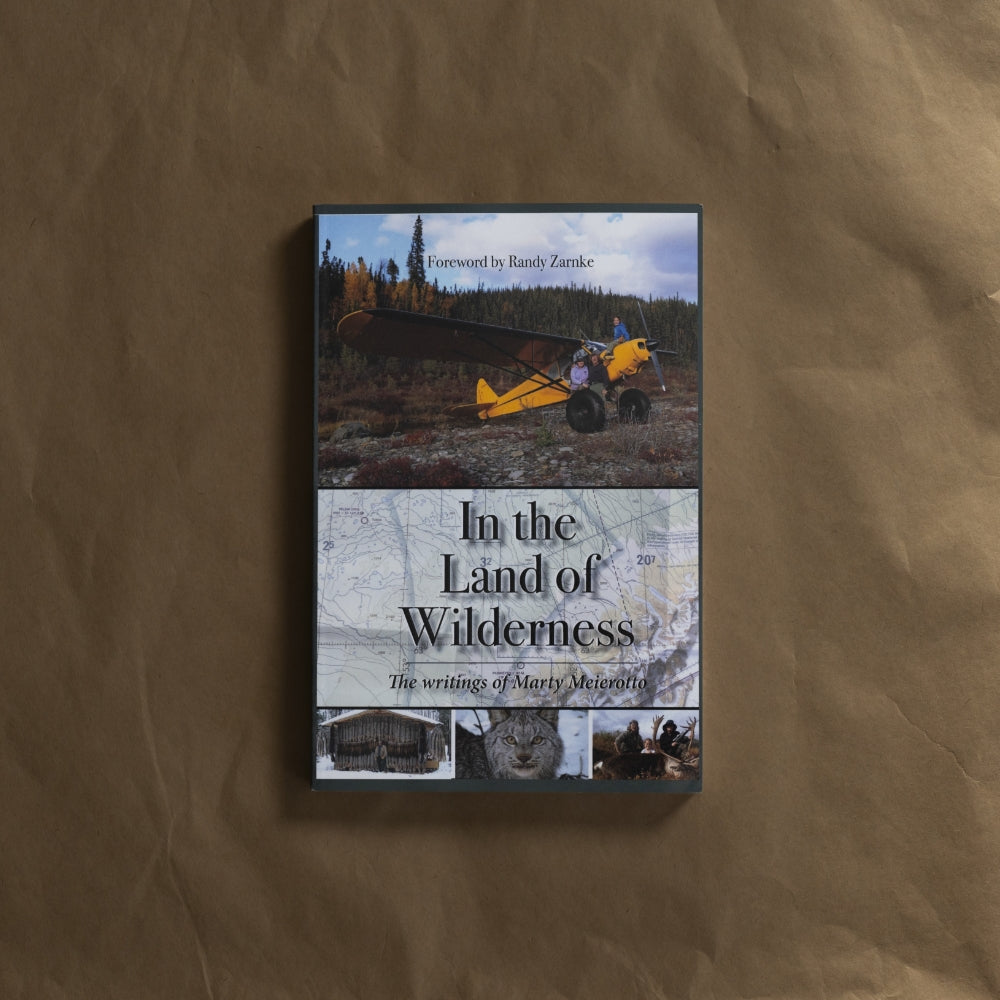 Book Review: In the Land of Wilderness, Marty Meierotto