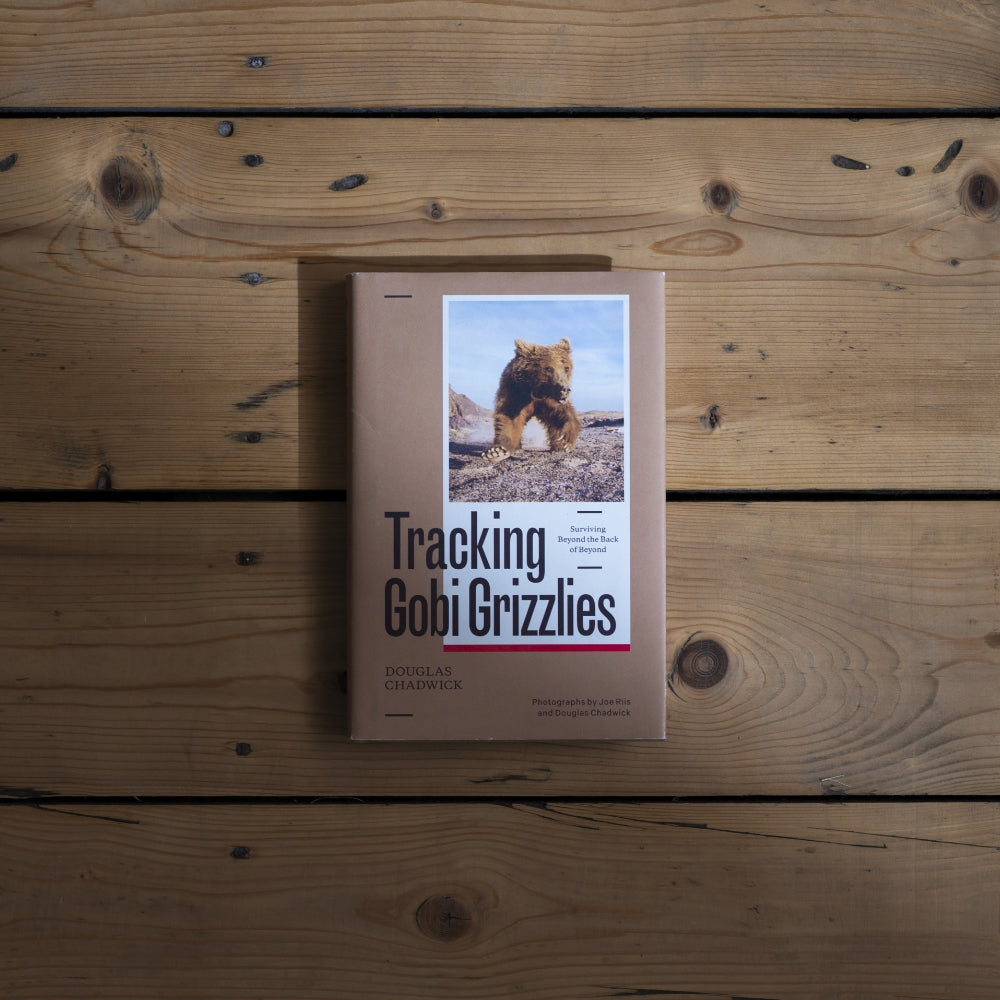 Book Club: Tracking Gobi Grizzlies